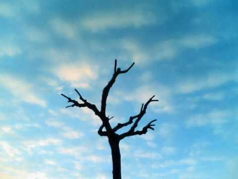 download lagu mp3 mp4 JOHNNY BRANDON AND THE PHANTOMS Mp3, download lagu JOHNNY BRANDON AND THE PHANTOMS Mp3 gratis, unduh video klip JOHNNY BRANDON AND THE PHANTOMS Mp3