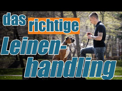 Leash handling – the right way! Dog trainer Steve Kaye