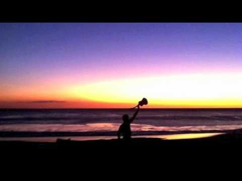 Deciphering Macaca (Instrumental Theme) - Daniel Araya