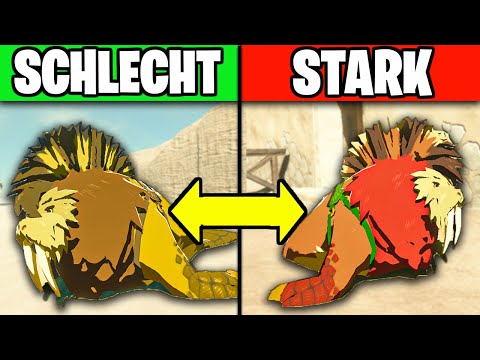 25 Tipps & Secrets in TotK, die DU noch NICHT kennst!