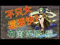 【怪物彈珠】【モンスト】布蘭堤修 又大又快的ss