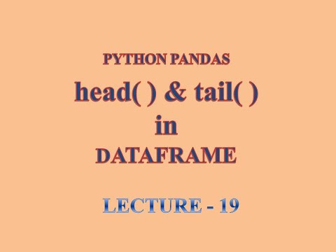 Python Pandas Head Function Tail Function Dataframe Informatics Practices Xii