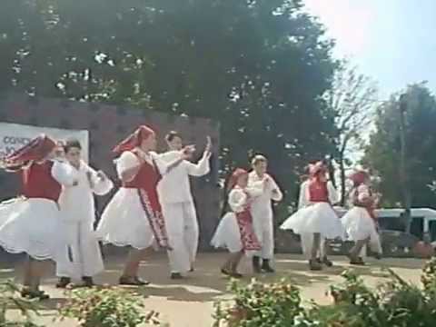 ANSAMBLUL ALDESTEANA  JUNIORI DIN ALDESTI