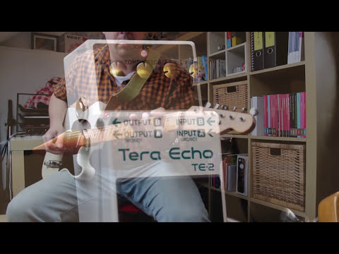BOSS TE-2 Tera Echo image 3