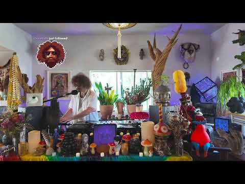 Live from The Wizard's Cave part 2