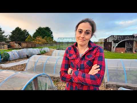 Our Abandoned Farm Was Finally Coming Together… Then THIS Happened!