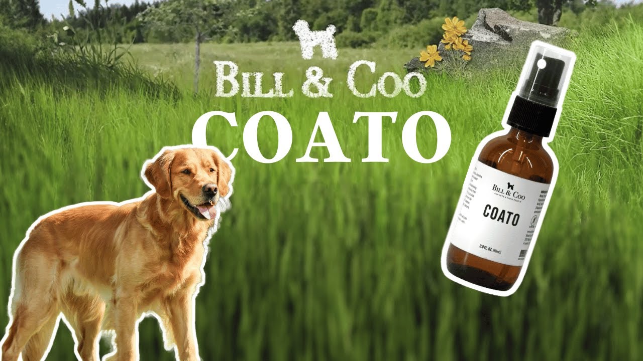 Coato Environmental Shield for Pets Overview by Dr. Christina Rahm