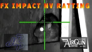Air rifle pest control - NV ratting with the FX impact - pig farm rats
