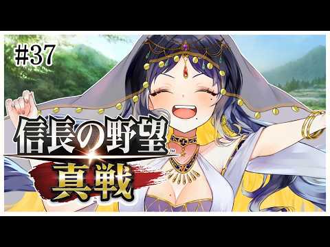 #37【 #信長の野望真戦 】昼から楽しい戦さ⚔をしようじゃないか!!!【 #Vtuber / 夜露かんな 】