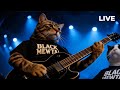 Black Mewtal The Melody Live At ROCK Meow RING 2025