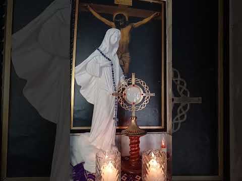 Adoracion Al Santisimo Sagramento del Altar con el Padre Fabian Esteban Oliva. 20/08/26