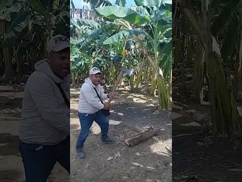 betulia corregimiento de momil córdoba colombia gracias dios por 🙏 tu bendiciones #shortvideo