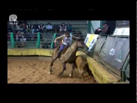 Aberta de Esteio – 2° lugar machos – Lanceiro II de Santa Edwiges