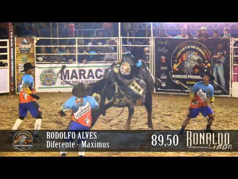 Rodeio de Maracaí 2014 - Melhores Montarias DOMINGO