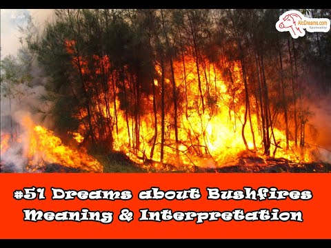 #88 Bushfires - Dream Meaning Interpretation