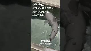 【中学3年生】オリジナルサメラジコン🦈【自作】#ラジコン #ホホジロザメ