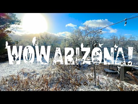 WOW Arizona! Desert Snow Morning