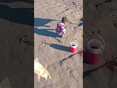 PESCA 🎣 🎣 🎣  CAMPING DEL COLORADO FORMOSA tercer parte final...alguien sabe como se llama el pescado