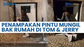 Penampakan Pintu AirBnB yang Mungil Bak Rumah Tikus di Kartun Tom and Jerry