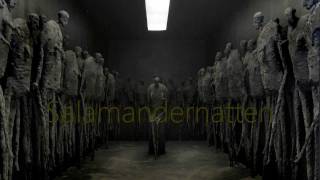 Salamandernatten / Salamander night - Kjell Erik Killi Olsen