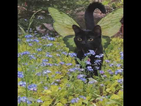 (guitar) aldn + glaive + midwest emo type beat (prod. xmichaelwarren)