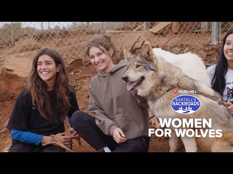 Care for 22 Rescued Wolf-Dogs in California