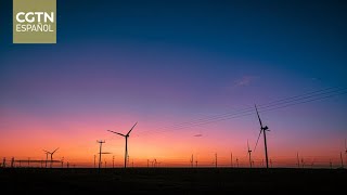 Los generadores eólicos de fabricación china se destacan en Argentina por sus prestaciones