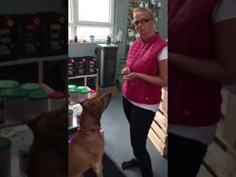 Fresco Martin Rütter Trainingsleckerli jetzt im beuteTIER