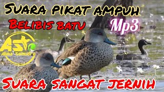 Download lagu SUARA PIKAT 🔴 BURUNG BELIBIS BATU AMPUH COCOK UNTUK🔥 HUNTING mp3