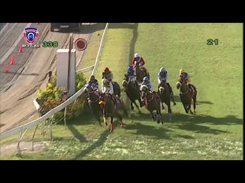 RM33 R8 | Massimo | R.Bheekary