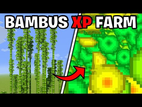 Minecraft Bamboo XP Farm Build Tutorial 1.20 - Cactus XP Farm Build in Minecraft 1.20 Tutorial