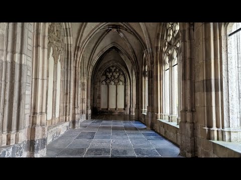 Onthulling USV Protos kandidaatbestuur 2022-2023