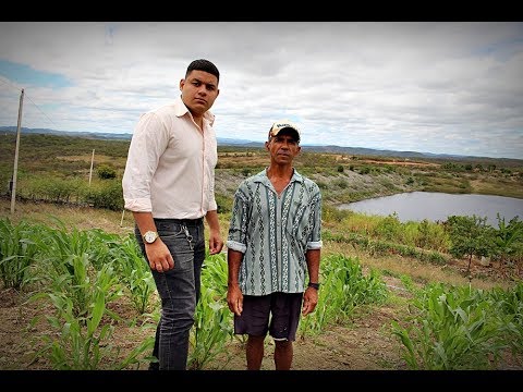 , title : 'Agricultor aposta na plantação de Sorgo para alimentar seu gado, em Ibiara; vídeo'