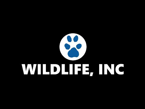 Wildlife Inc. Teaser Trailer
