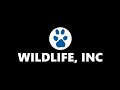 Wildlife Inc Teaser Trailer