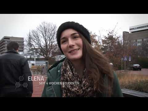 My first semester at HannibaL: A typical day