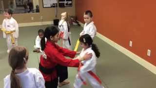 preview picture of video 'Taekwondo class at Upper Dublin's Personal Power Martial Arts'