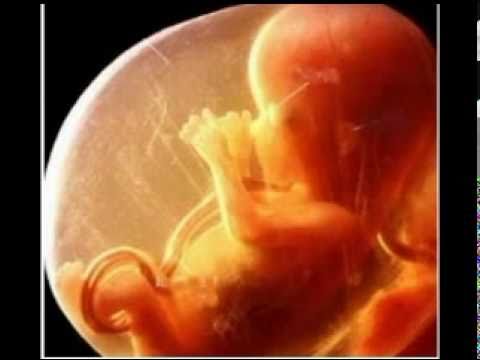 download lagu mp3 mp4 Psalm 139 Wonderfully Made, download lagu Psalm 139 Wonderfully Made gratis, unduh video klip Psalm 139 Wonderfully Made