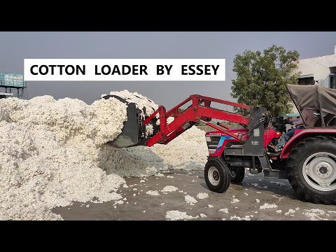 Thrash Loader M