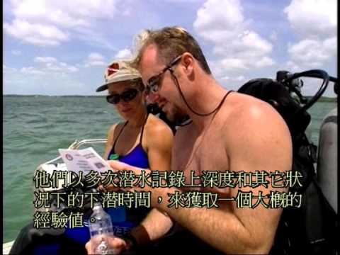 Chapter 4 diving science