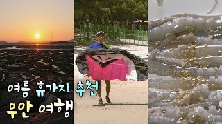 preview picture of video '해파리, 낙지요리를 맛볼 수 있는 무안 여름여행 [어영차바다야]'