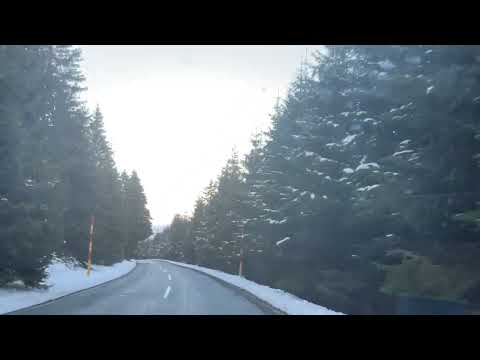 #serbia #kopaonik #shorts #belgrade #winter #drive #snowfall #winter #mountaindrive #december #vlog
