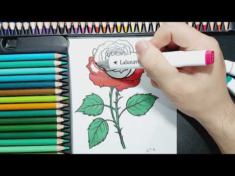 Coloring Pages Printable Roses
