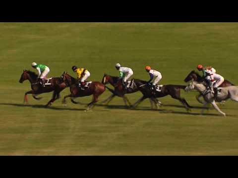 TOP 11.06.2017 - Dostihy 5 - Cena Národný žrebčín "Topoľčianky" š.p.