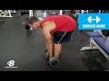 How to Stiff Legged Dumbbell Deadlift with Hunter Labrada | Exercise Guide