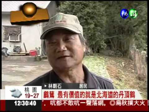 太陽埤形如螃蟹 候鳥棲息原始林