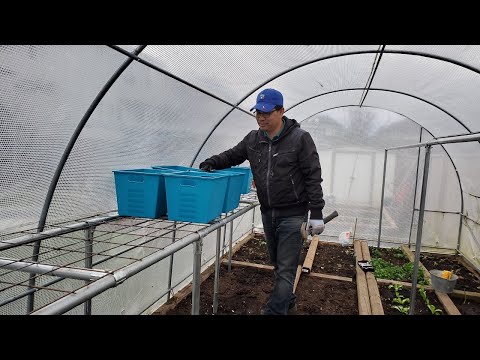 , title : 'Làm kệ và giàn mướp trong nhà kính để trồng rau và mướp 🇨🇦512》 Make the most of greenhouse space'