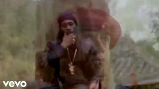 Wutang Clan  - From the 36 Chambers