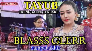 Download lagu Tayub Trenggalek Terbaru Yang Enak Di Sampai Akhir Bass Glerr mp3