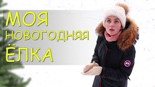 МОЯ НОВОГОДНЯЯ ЁЛКА
